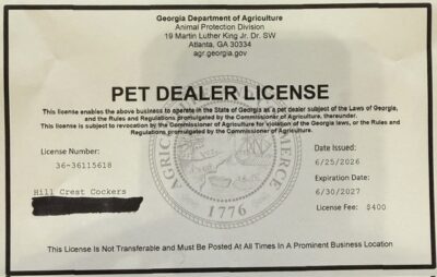 hill Crest Cocker License, cocker spaniel