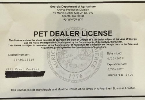 hill Crest Cocker License, cocker spaniel